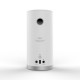 Clint Asgard Freya Misty Green Bluetooth